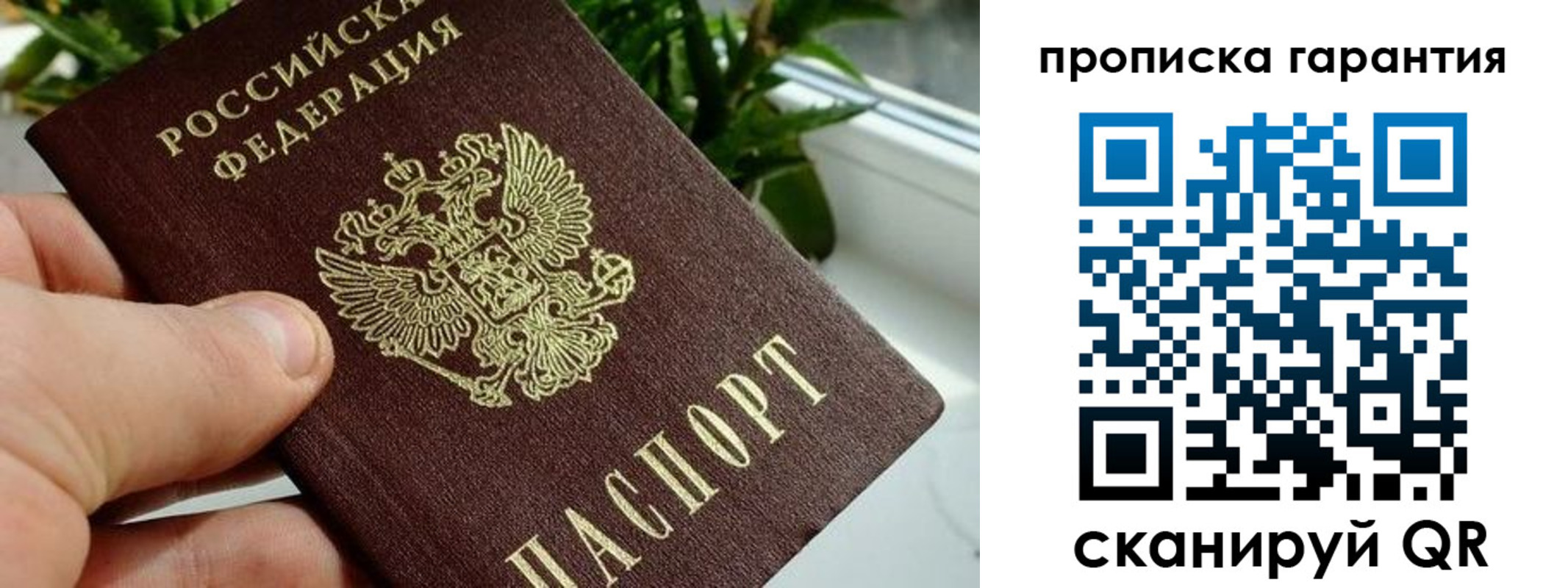 регистрация для школы в Ярославле